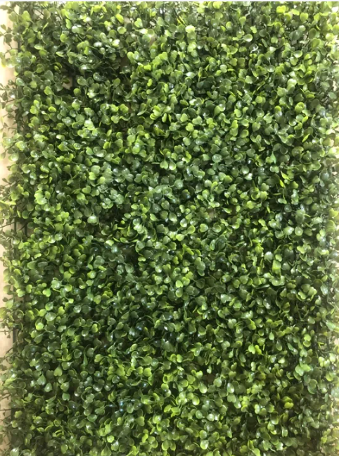 Placa de buchinho 40cmx60cm